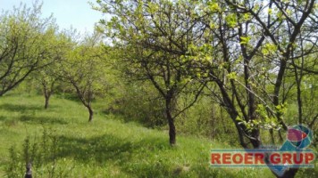 valcanesti-intravilan-3857-mp-langa-paduretoate-utilitatile-3