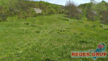 valcanesti-intravilan-3857-mp-langa-paduretoate-utilitatile-4