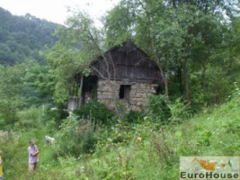 teren-pentru-cabana-ramet