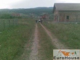 teren-de-vanzare-micesti-zona-apuseni