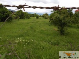 teren-intravilan-iesire-la-drum-european-e-81