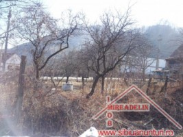 de-vanzare-casa-3-camere-gradina-loc-cisnadioara-10