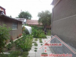 vand-casa-4-camere-singur-in-curte-str-lupeni-3
