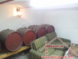 vand-casa-2-camere-singur-in-curte-zona-ceferistilor-14