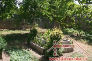 vindem-casa-de-vacanta-cu-panorama-frumoasa-tocile-5