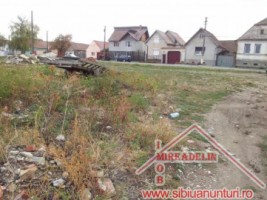 de-vanzare-teren-intravilan-1200-mp-loc-sura-mica-3