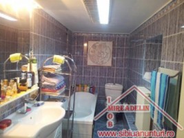 de-vanzare-vila-dpm-687mp-zona-garii-11