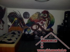 de-vanzare-vila-dpm-687mp-zona-garii-13