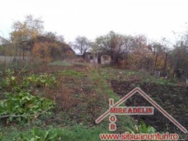 casa-de-vanzare-singur-in-curte-calturnisorului-14