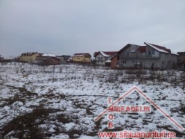 teren-intravilan-de-vanzare-3-parcele-loc-selimbar-3