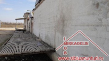 inchiriem-spatiu-depozit-332-mp-calea-surii-mici-1