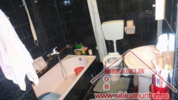 inchiriem-casa-dpem-singur-in-curte-zona-calea-dumbravii-9