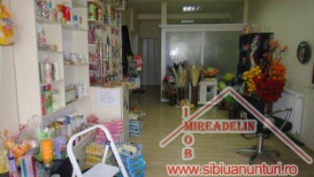 vand-casa-deosebita-zona-calea-dumbravii-1
