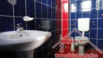 inchiriez-vila-pem-295-mp-zona-calea-poplacii-9