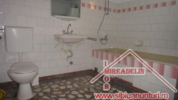 inchiriez-vila-dpe-zona-calea-dumbravii-13
