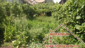 vand-casa-strada-caramidariei-8