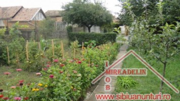 vand-casa-4-camere-terezian-9