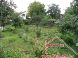 vand-casa-5-camere-piata-cluj-7