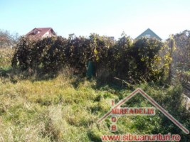 inchiriez-casa-2-camere-turnisor-9