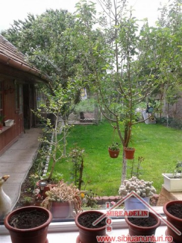 vand-casa-5-camereturnisor-14