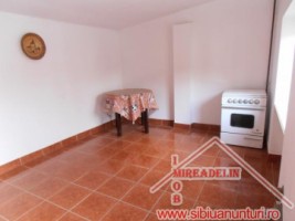 inchiriez-casa-curte-gradina-turnisor-8