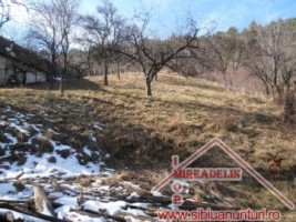 vand-casa-3-camere-in-rasinari-zona-centrala-10