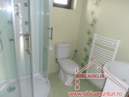 inchiriez-vila-5-camere-pe-zona-trei-stejari-9