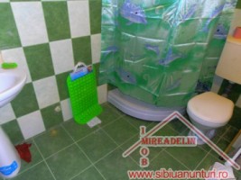 inchiriez-casa-2-camere-turnisor-3