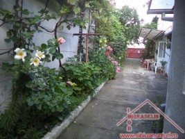 vand-casa-2-apartamente-curte-si-gradina-in-turnisor-2