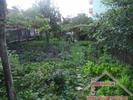 vand-casa-2-apartamente-curte-si-gradina-in-turnisor-3