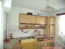 vand-casa-2-apartamente-curte-si-gradina-in-turnisor-5