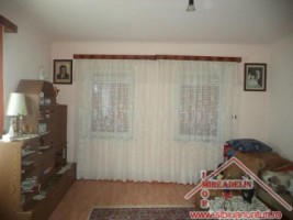 vand-casa-2-apartamente-curte-si-gradina-in-turnisor-6