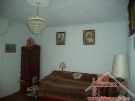 vand-casa-2-apartamente-curte-si-gradina-in-turnisor-7