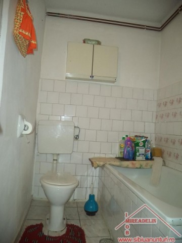 vand-casa-2-apartamente-curte-si-gradina-in-turnisor-11