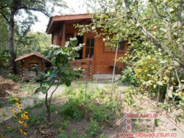inchiriez-casa-3-camere-zona-trei-stejari-10