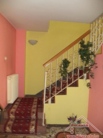 vand-casa-dpem-strzaharia-boiu-4