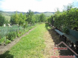 vand-urgent-livada-teren-7500-mp-48-euromp-zona-lacului-ighisu-nou