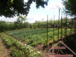 vand-urgent-livada-teren-7500-mp-48-euromp-zona-lacului-ighisu-nou-3