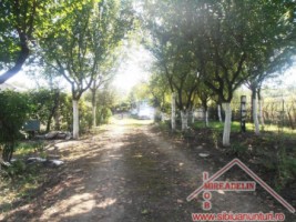 vand-urgent-livada-teren-7500-mp-48-euromp-zona-lacului-ighisu-nou-4