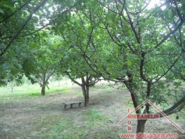 vand-urgent-livada-teren-7500-mp-48-euromp-zona-lacului-ighisu-nou-8
