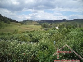 vand-urgent-livada-teren-7500-mp-48-euromp-zona-lacului-ighisu-nou-10