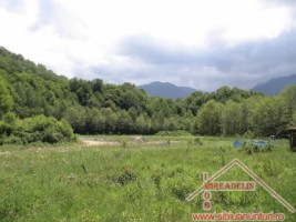 vand-teren-extravilan-zona-albota
