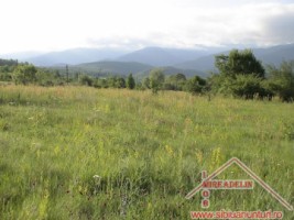 vand-teren-extravilan-zona-porumbacu-de-sus