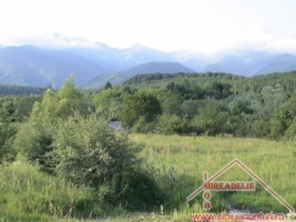 vand-teren-extravilan-zona-porumbacu-de-sus-1