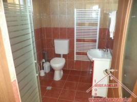 inchiriez-casa-cu-5-camere-in-turnisor-6