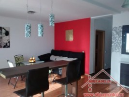 inchiriez-apartament-2-camere-in-zona-vasile-aaron-langa-hipermarket-uri-2