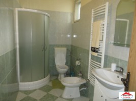 casa-3-camere-acces-auto-zona-aurel-vlaicu-id-21424-13