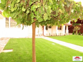 casa-noua-parter-si-mansarda-finisata-mobilata-id-21426-2