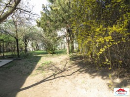 casa-cu-teren-879-mp-in-zona-centrala-id-21436-1