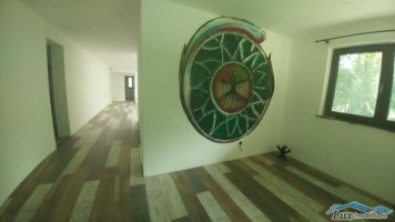 casa-30-ari-teren-6